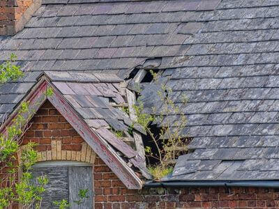 Professional water damage restoration services in San Diego - ThermaNest